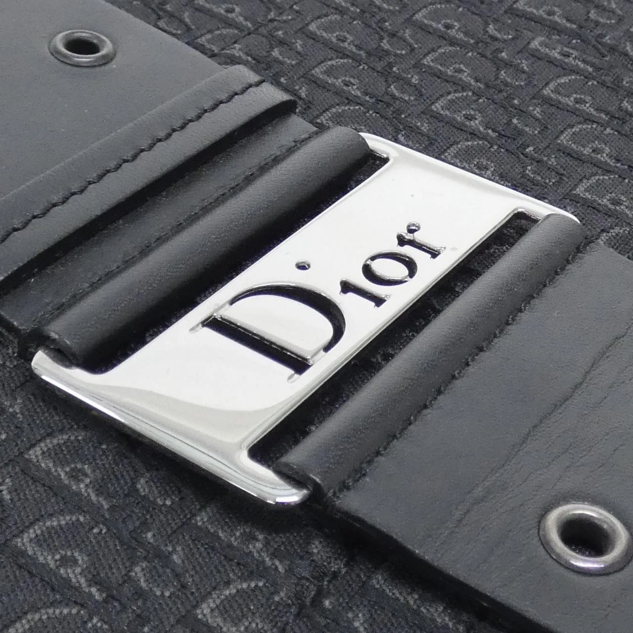 DIOR Shoulder Canvas 7