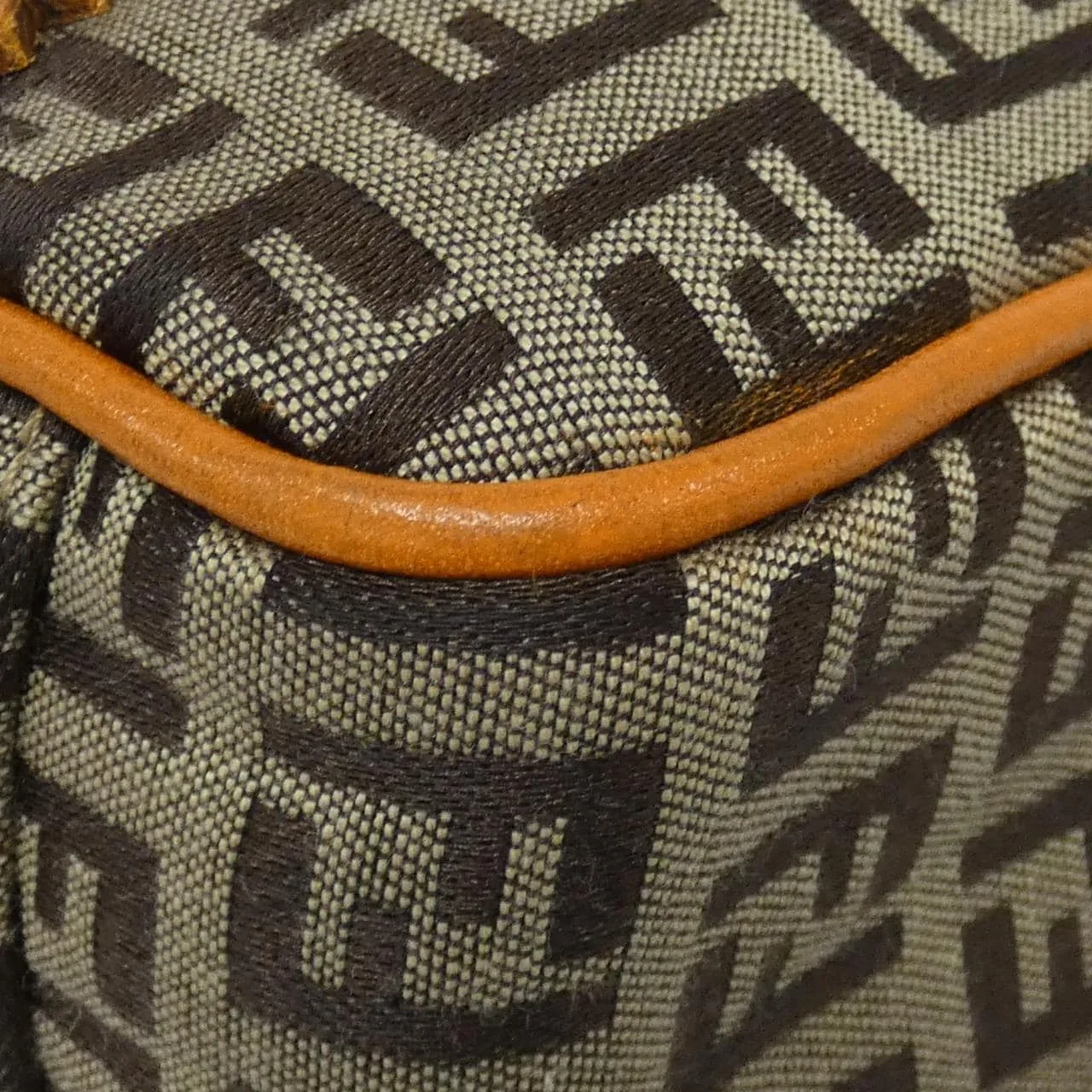 FENDI Sunshine Shopper 8BH161 TN9 手提包 帆布 3