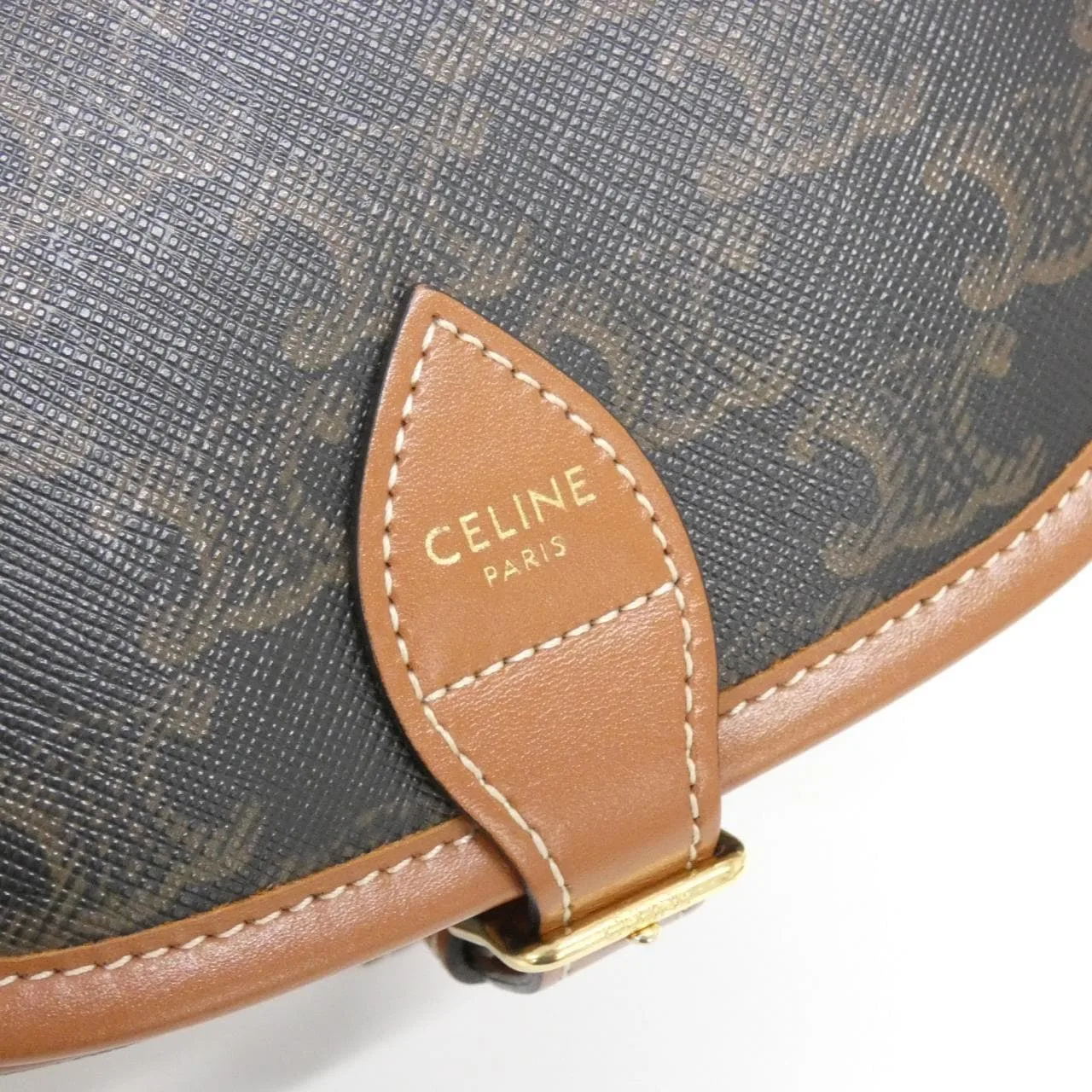 CELINE Triomphe 191502BZJ Shoulder Canvas 5