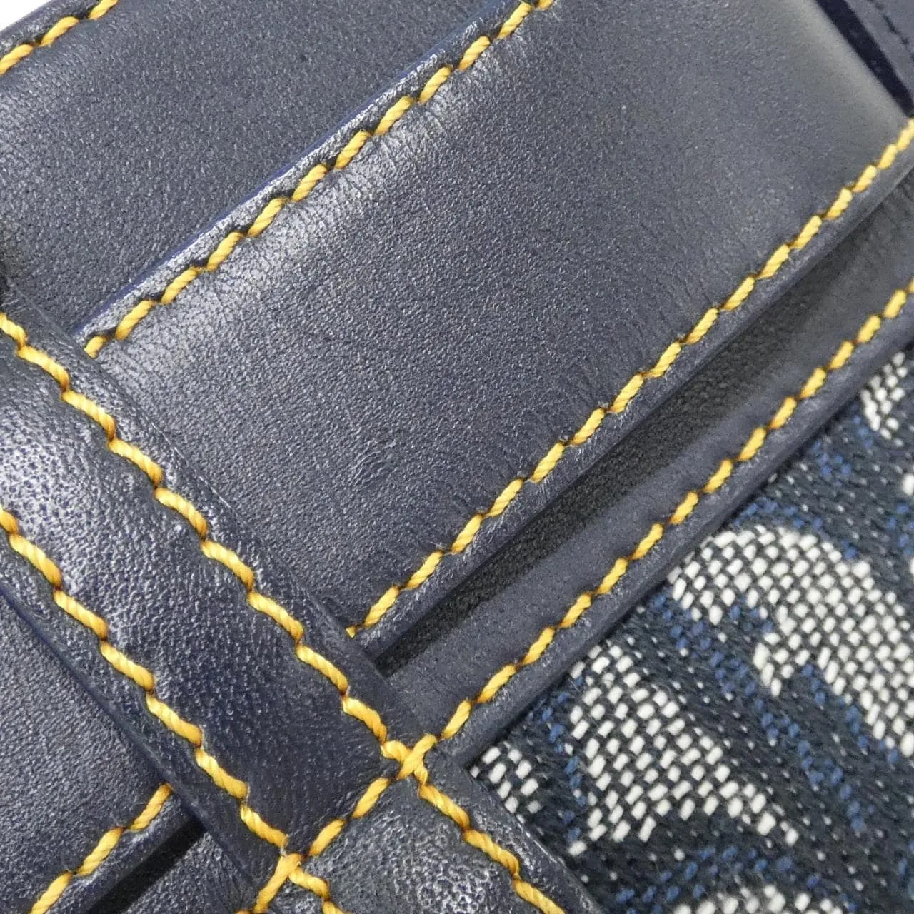 DIOR 手提包 帆布 4