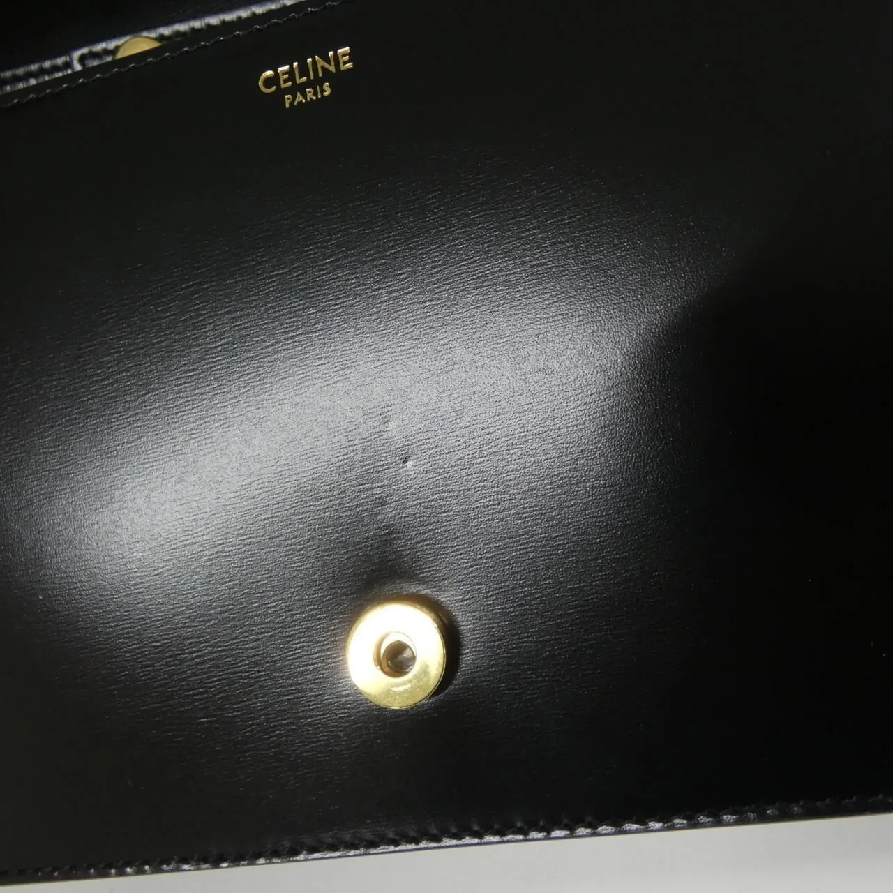 CELINE Triomphe 199283BF4 肩背包 9