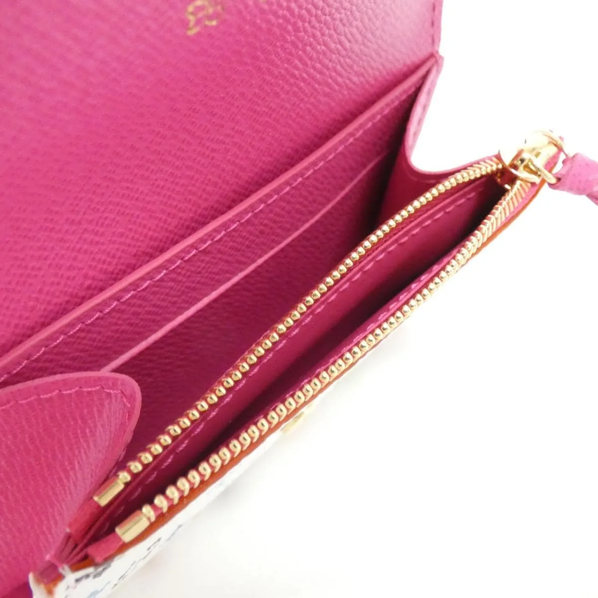 LOUIS VUITTON M13399 散紙包 5