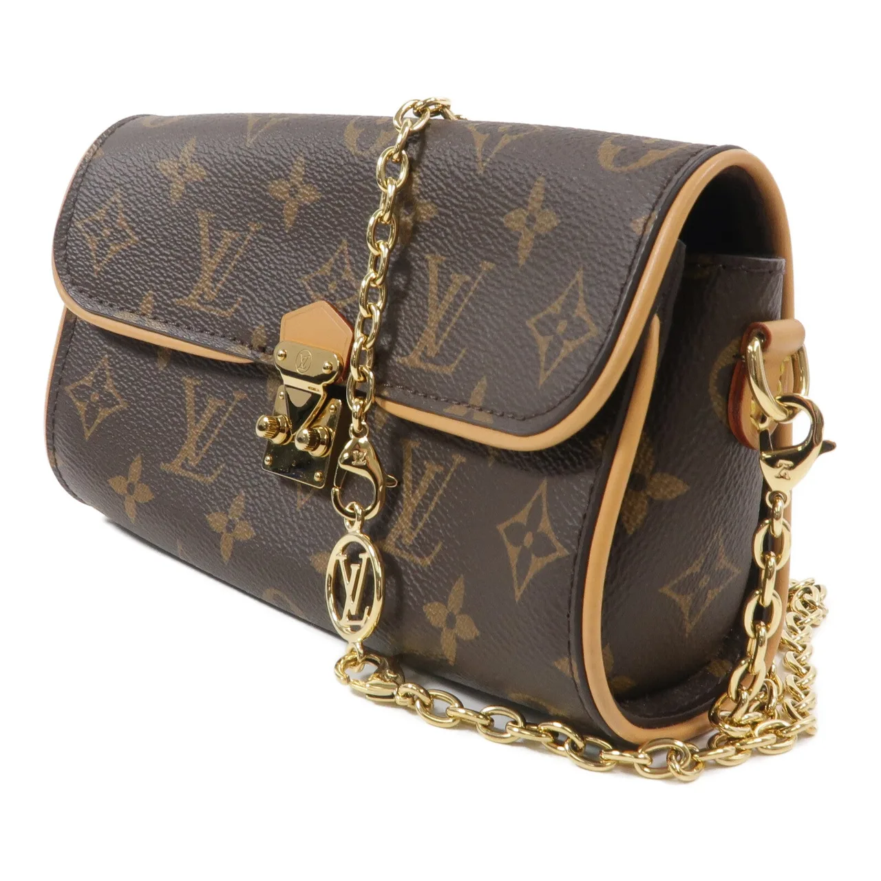 LOUIS VUITTON M13566 兩用包 塗層帆布 3